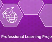 AI Professional Learning Project
